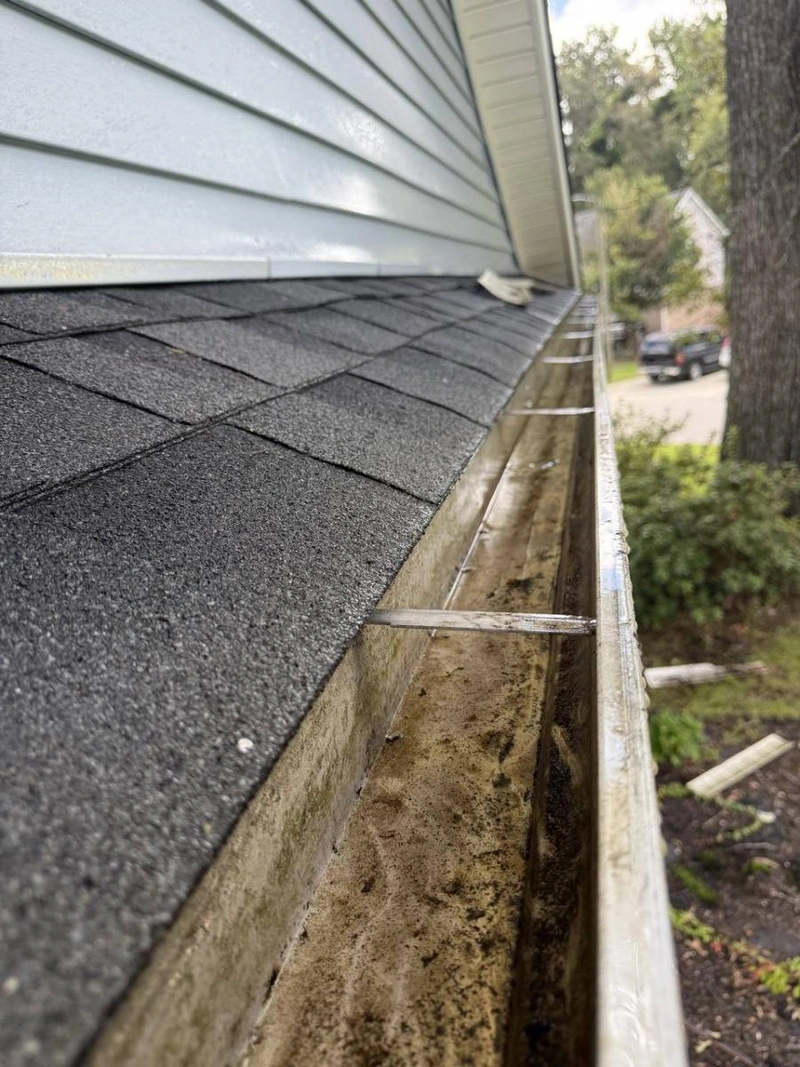 Professional gutter cleaning service removing debris and restoring proper drainage