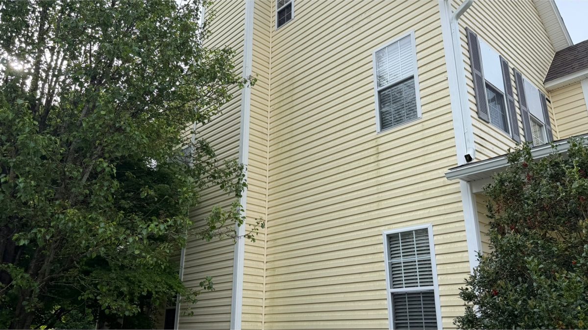 Two-storey siding elevation before cleaning