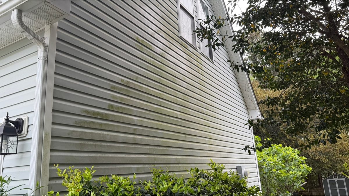 Shaded siding elevation before cleaning