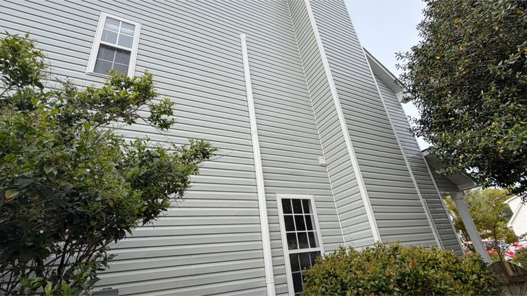 Siding with heavy organic growth after cleaning