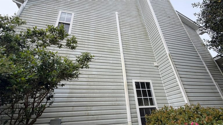 Siding with heavy organic growth before cleaning