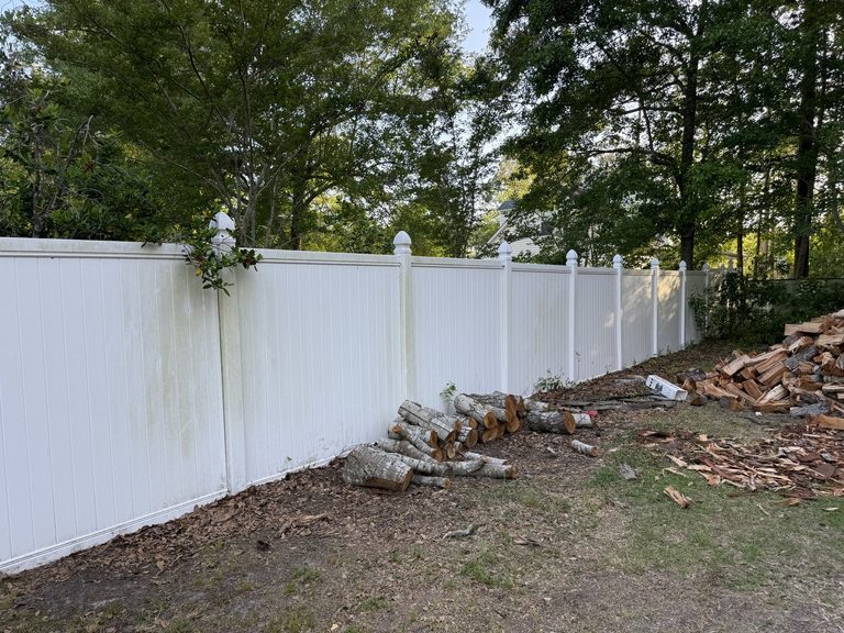 Fence Cleaning