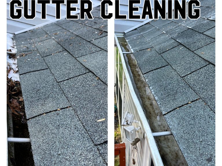 Gutter Cleaning
